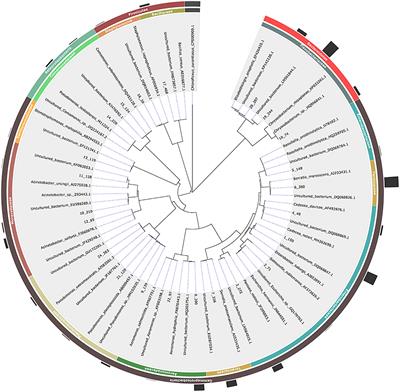 Multiple Factors Determine the Structure of Bacterial Communities Associated With Aedes albopictus Under Artificial Rearing Conditions